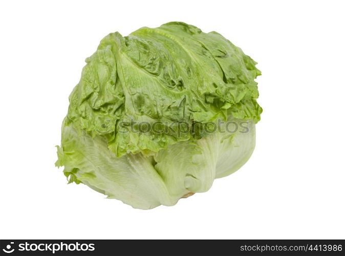 Green iceberg lettuce isolated on a white background