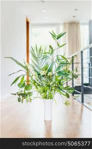 Green indoor plant arrangement in vase at light floor and window background. Urban living and styling with green plant