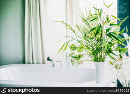 Green indoor plants in vase in bathroom , home interior concept