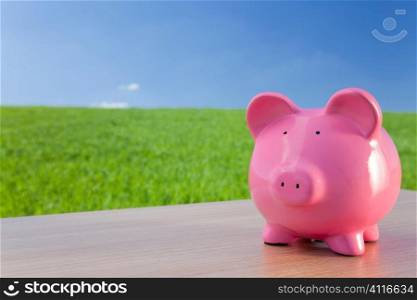 Green investment concept shot of a big pink piggy bank in a green field with a bright blue sky