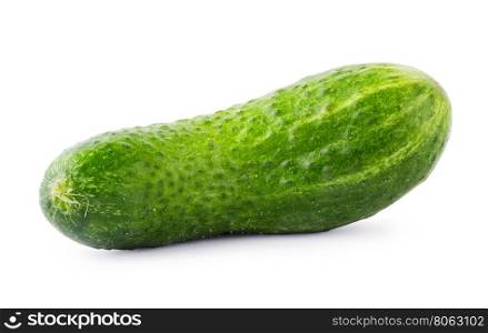 Green juicy cucumber isolated on white background. Green juicy cucumber