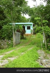 green jungle little house in Mayan riviera Mexico palm trees