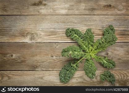 green kale leaves on a rustic wood with a copy space