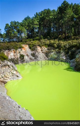 green lake in Waiotapu geothermal area, Rotorua, New Zealand. Green lake in Waiotapu, Rotorua, New Zealand