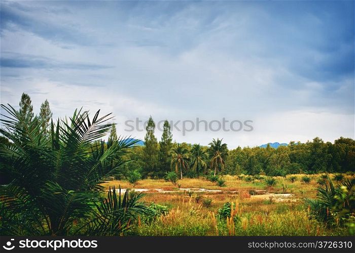 green landscape at summer day in Thailand