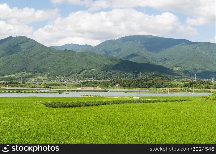 Green landscape in South Korea. Green landscape in South Korea with rice fields and mountains