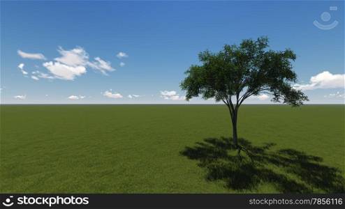 Green landscape madein 3d software