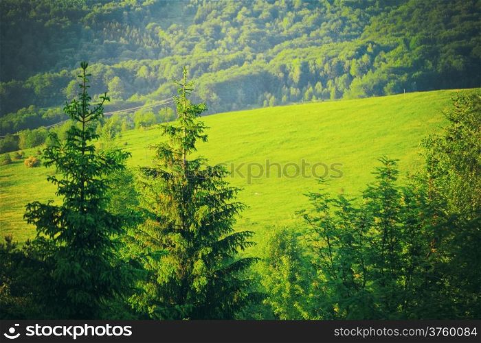 Green landscape trees and mountains hills Bieszczady Poland. Summer vacation.
