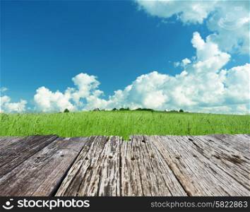 Green landscape with cloudy sky