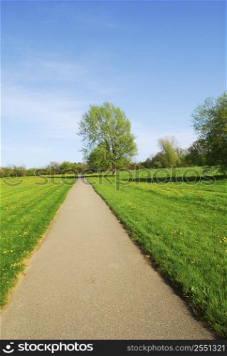 Green late spring landscape with empty recreational trail