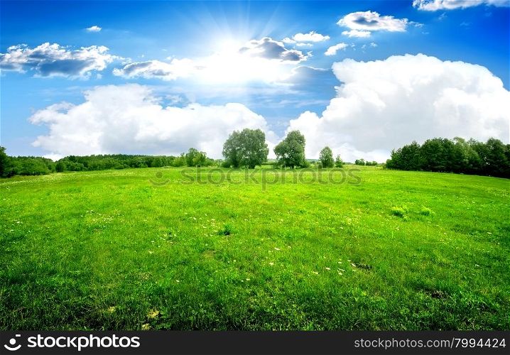 Green lawn and trees under beautiful clouds