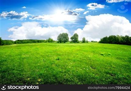 Green lawn and trees under beautiful clouds