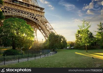 Green lawn near Eiffel Tower in Paris at sunrise, France