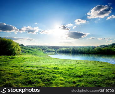 Green lawn near river in the forest