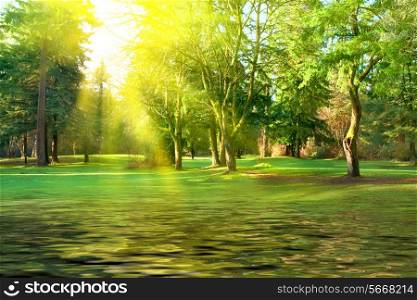 Green lawn with park trees under sunny light and reflection in water