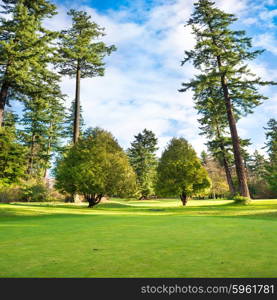 Green lawn with trees in park under sun light