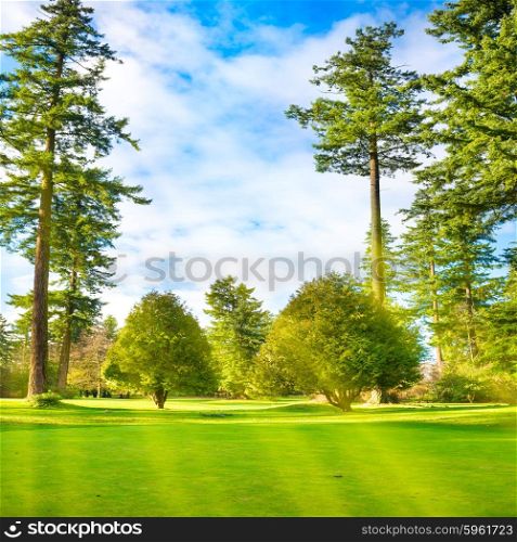 Green lawn with trees in park under sun light with rays