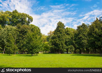 Green lawn with trees in park under sunny light