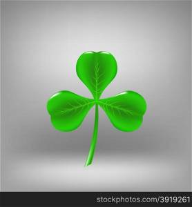 Green Leaf Clover Isolated on Grey Background. Green Leaf Clover