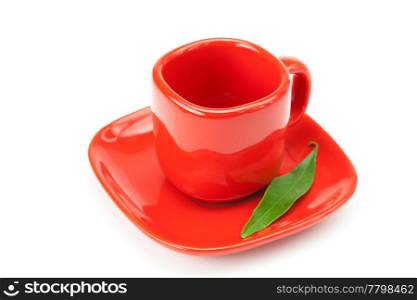 green leaf in the cup is isolated on a white