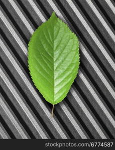 Green leaf lying in the rays of light on scratched metal. Top view. Modern technology and nature compatible. New technology on guard ecology.