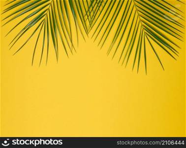 green leaf of palm tree on yellow background. View from above, copy space