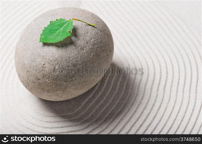 green leaf on a gray large stone
