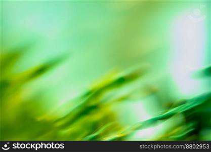 Green leaf on blurred greenery background. Blurred city park on background. Bokeh sun and blur green tree background.. Blurred leaves on the tree in garden. Bokeh in morning forest and sun flares.