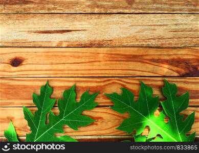Green leaf on wood table background