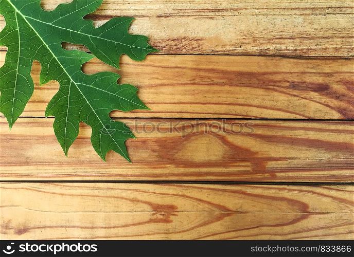 Green leaf on wood table background