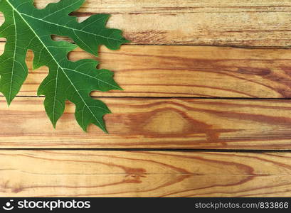 Green leaf on wood table background