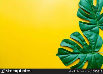 green leaf on yellow background.