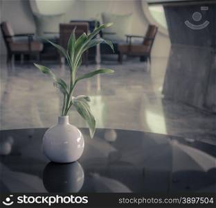 Green leaf plant jar on glass table in living room