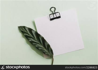 green leaf white paper with black paperclip against pastel background