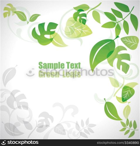 Green leafs background