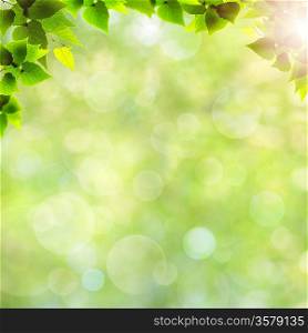 Green leaves. Abstract natural backgrounds for your design