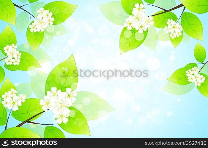 Green Leaves and flowers