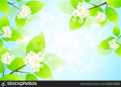 Green Leaves and flowers
