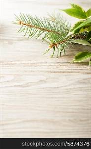 Green leaves and pine branch on a wooden background