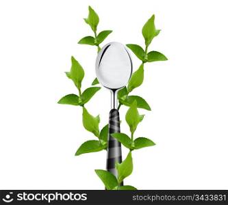 green leaves around spoon isolated on white background.
