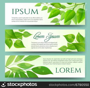 Green leaves banners with white background. Green leaf nature eco spring headers