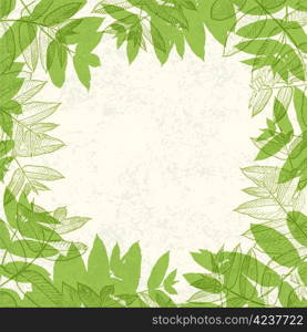 Green leaves frame on paper texture. Vector illustration, EPS10.