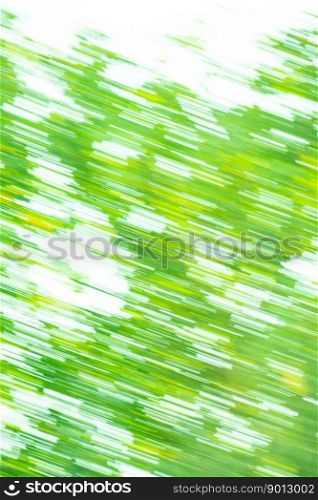 Green leaves in a forest abstract blurred background. Blurred leaves on the tree in garden.. Lush foliage bokeh. Blurred sunset garden or park background with daylight.
