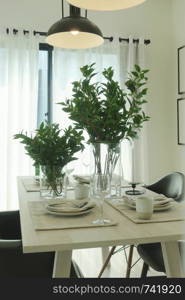 Green leaves in vase at center of simply dining table with vintage pendant