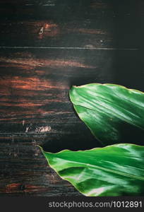 Green leaves on the brown wooden table