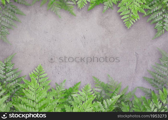 Green leaves on the concrete with spaces for text, Nature Border