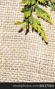 Green leaves placed on linen canvas