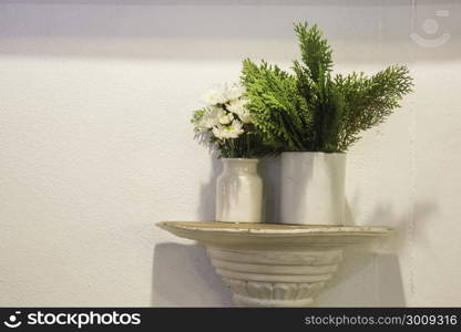 Green leaves plant decorated in the shop, stock photo