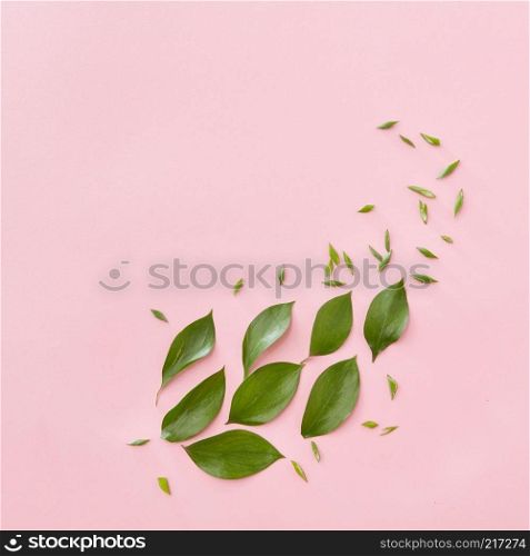 Green leaves represented in form of big leaf over pink background. Blank space may be used for noting your ideas, emotions, etc. Texture concept.. Green leaves isolated