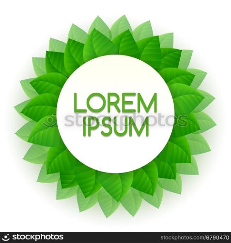 Green leaves round frame. Vector green leaves round frame for eco and natural label